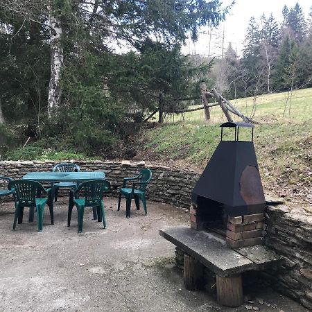 Horska Chata Na Brcalniku V Srdci Sumavy Zelezna Ruda Exterior photo