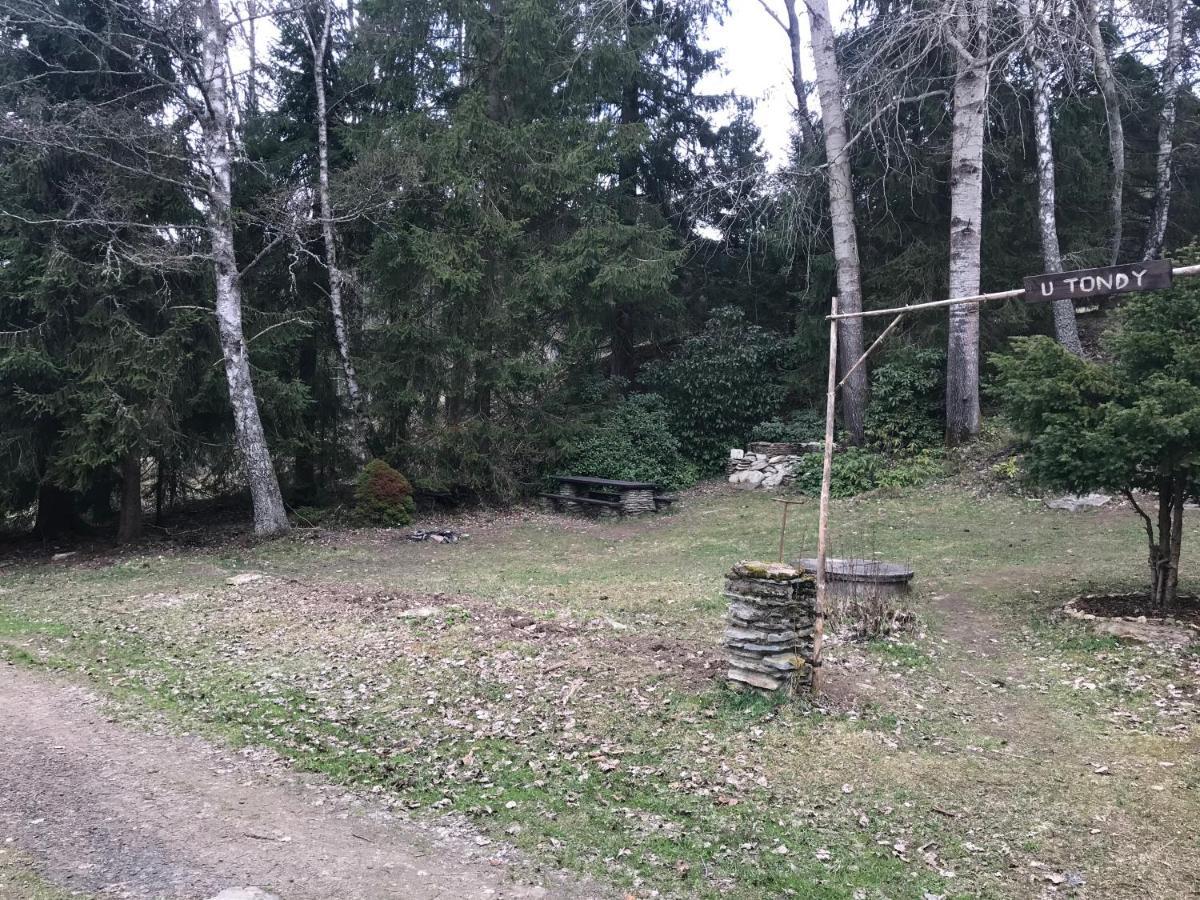 Horska Chata Na Brcalniku V Srdci Sumavy Zelezna Ruda Exterior photo